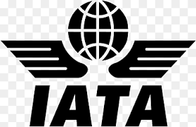 ITA Georgia კონტაქტი-IATA logo